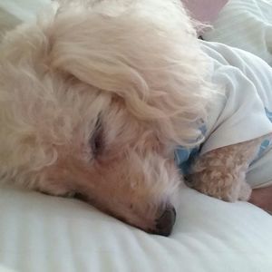 Meet your Posher, Doris